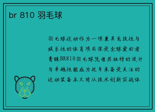 br 810 羽毛球