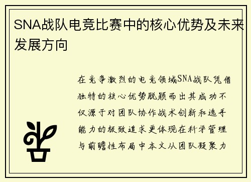 SNA战队电竞比赛中的核心优势及未来发展方向